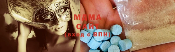 ГАЛЛЮЦИНОГЕННЫЕ ГРИБЫ Гусев