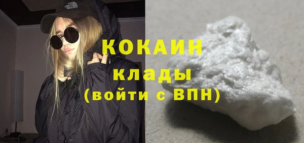 ГАЛЛЮЦИНОГЕННЫЕ ГРИБЫ Гусев