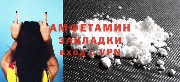 ГАЛЛЮЦИНОГЕННЫЕ ГРИБЫ Гусев