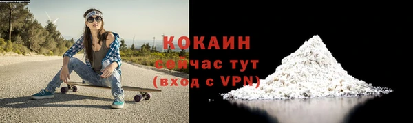 ГАЛЛЮЦИНОГЕННЫЕ ГРИБЫ Гусев