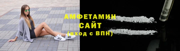 ГАЛЛЮЦИНОГЕННЫЕ ГРИБЫ Гусев