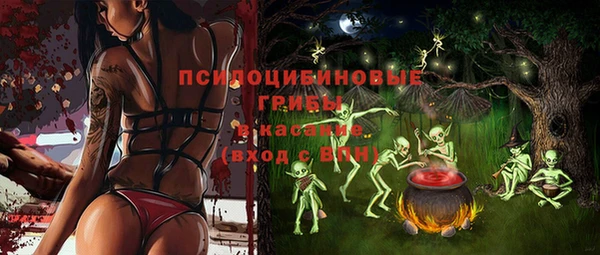 ГАЛЛЮЦИНОГЕННЫЕ ГРИБЫ Гусев