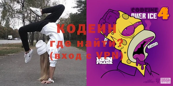 ГАЛЛЮЦИНОГЕННЫЕ ГРИБЫ Гусев
