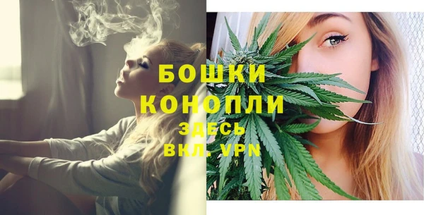 ГАЛЛЮЦИНОГЕННЫЕ ГРИБЫ Гусев