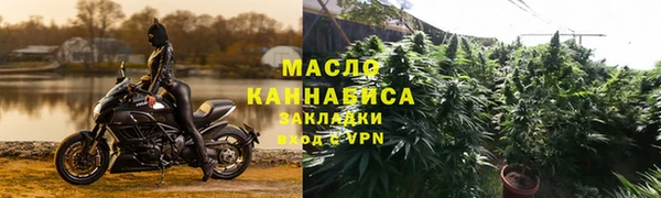 ГАЛЛЮЦИНОГЕННЫЕ ГРИБЫ Гусев