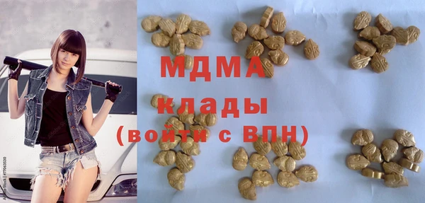 ГАЛЛЮЦИНОГЕННЫЕ ГРИБЫ Гусев