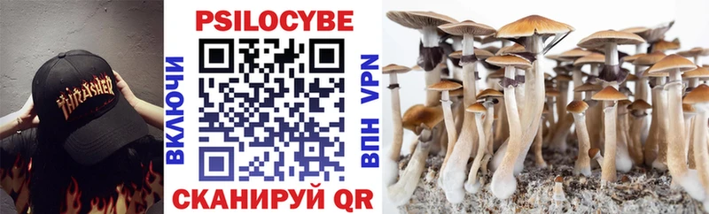 Галлюциногенные грибы Psilocybine cubensis  Купить  Ангарск 